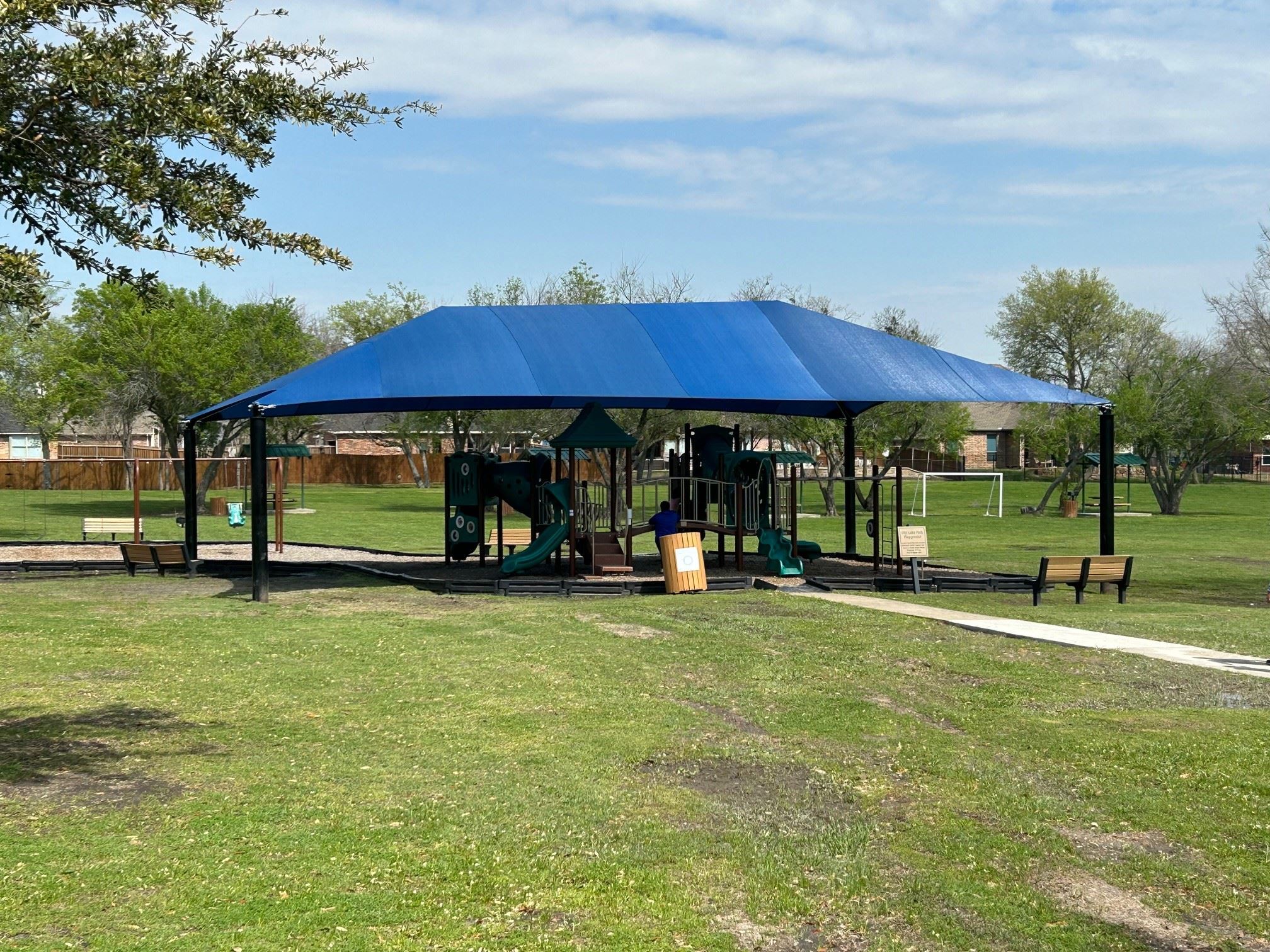 City Lake Canopy Photo